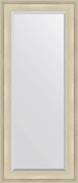 Зеркало Evoform Exclusive BY 1266 63x148 см травленое серебро