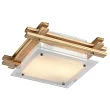 Потолочный светильник Arte Lamp 94 A6460PL-2BR - превью 1