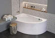 Акриловая ванна Roca Madeira 170х100 см L, белый (ZRU9302992) - превью 2