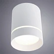 Потолочный светодиодный светильник Arte Lamp Elle A1949PL-1WH - превью 1