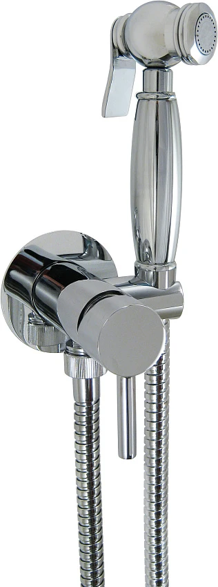 Гигиенический душ Nice Giulini Futuro FSH25/1531CR со смесителем
