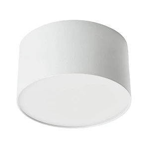 Потолочный светодиодный светильник Feron Simple matte 48074
