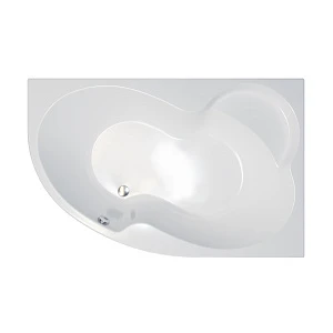Акриловая ванна Triton Мари 170x110 L с каркасом (Без экрана)