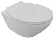 Крышка-сиденье BelBagno Prospero BB507SC с микролифтом, петли хром - превью 1
