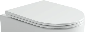 Крышка-сиденье Ceramicanova для унитазов CN4006/4006T/4007_HU2411 с микролифтом