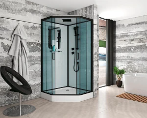 Душевая кабина Niagara Premium NG-6901-01D BLACK 90х90х220 черная