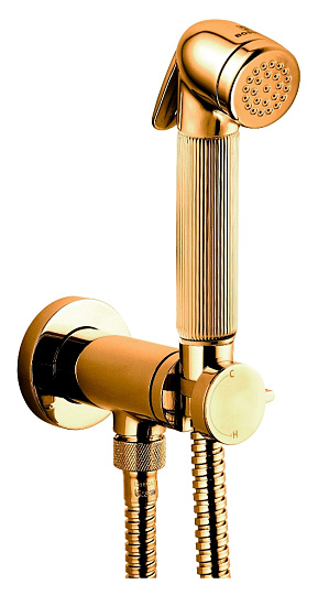 Гигиенический душ Bossini Nikita Mixer Set E37008 ORO со смесителем, золото