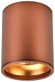 Кольцо декоративное Wertmark Stecken II WE804.RG.400 - превью 2