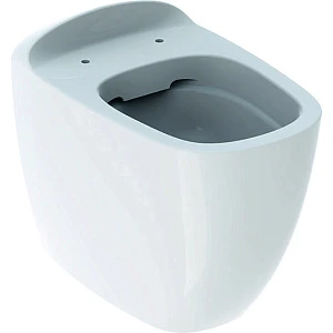 Чаша для унитаза приставного Geberit Citterio 500.512.01.1 Rimfree