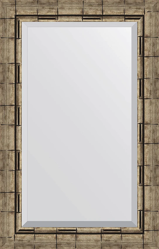 Зеркало Evoform Exclusive BY 1136 53x83 см серебряный бамбук