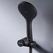 Душевая лейка Am.Pm Gem F0290022 черная - превью 2