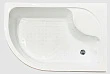 Душевой уголок Royal Bath RB 8120BK-C-BL 120х80х200 (матовое) правый - превью 2