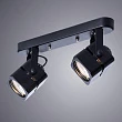 Потолочный светильник Arte Lamp A1315PL-2BK - превью 2