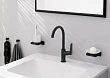 Смеситель для раковины Hansgrohe Logis 71130670 черный матовый - превью 2