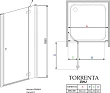 Душевая дверь в нишу Radaway Torrenta DWJ 90 прозрачное стекло R - превью 1