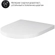 Унитаз подвесной Am.Pm Sense CK74H0403W безободковый, с микролифтом, с гигиеническим душем и ершиком - превью 2