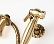 Гигиенический душ Bronze de Luxe Windsor 10134 без смесителя - превью 2