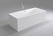 Акриловая ванна Black&White Swan SB107 - превью 2