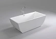 Акриловая ванна Black&White Swan SB108 - превью 1