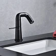 Смеситель для раковины Haiba HB10813-7 черный - превью 1