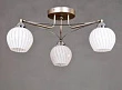 Потолочная люстра Elvan LU-37850/3-E14-Si+Wh - превью 1